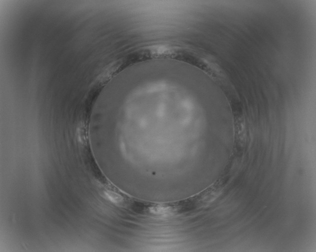 X0000054440419200508121850