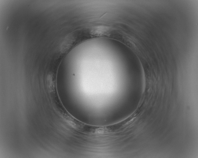 X0000054440420200508121850