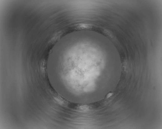 X0000054440423200508121849