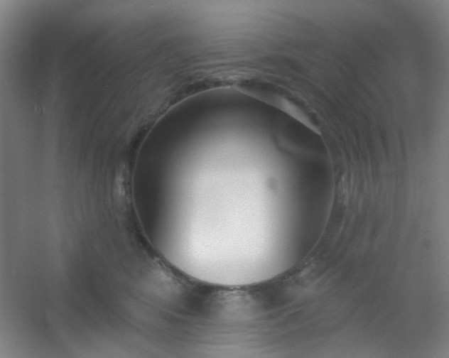 X0000054440424200508121849