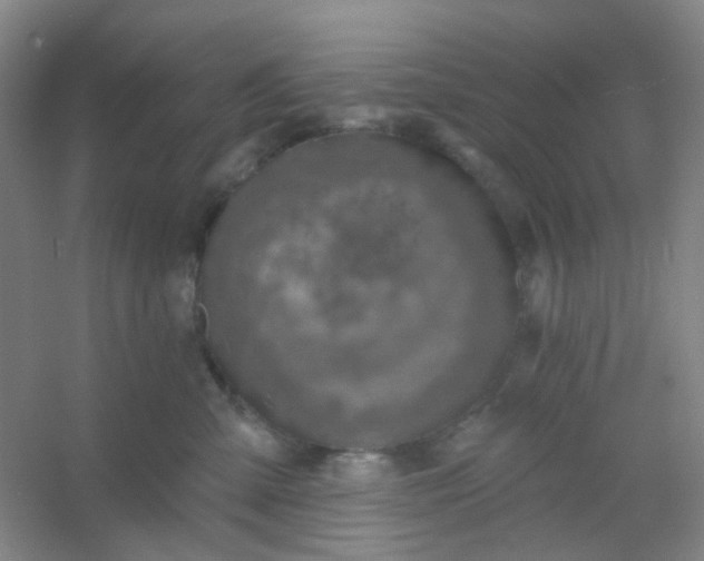 X0000054440427200508121849