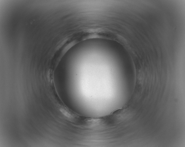 X0000054440428200508121849