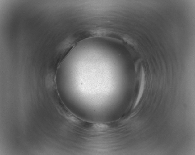 X0000054440429200508121849