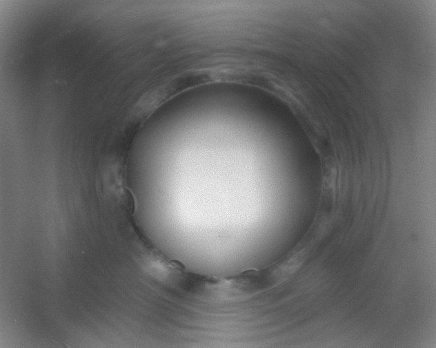 X0000054440430200508121849