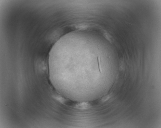 X0000054440431200508121849