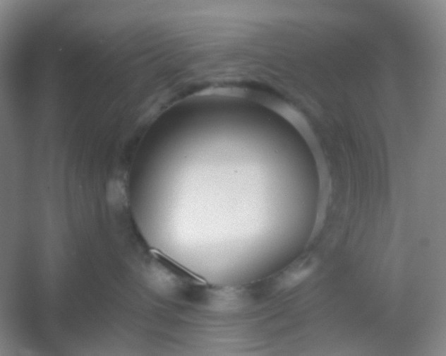 X0000054440432200508121849