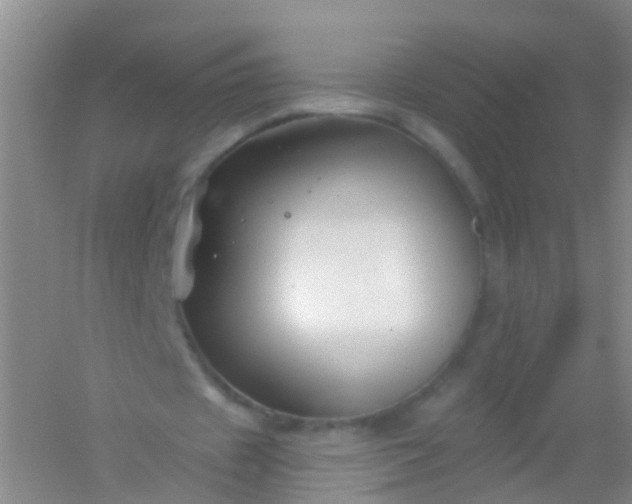 X0000054440433200508121849