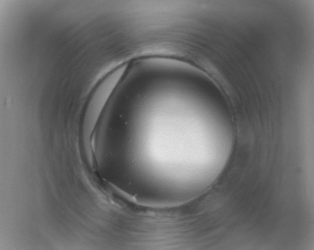 X0000054440434200508121849