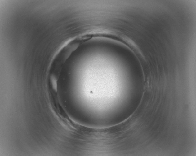 X0000054440436200508121849