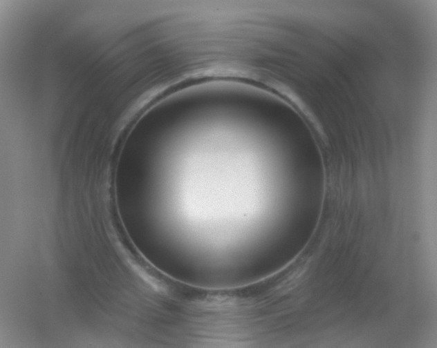 X0000054440437200508121849