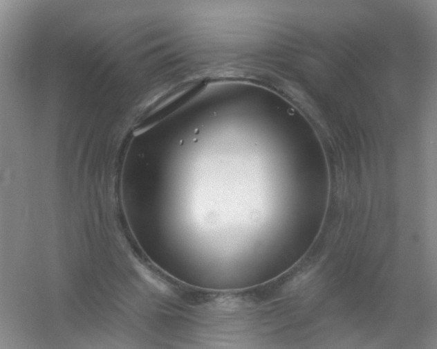 X0000054440441200508121849