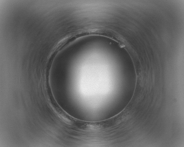 X0000054440442200508121849