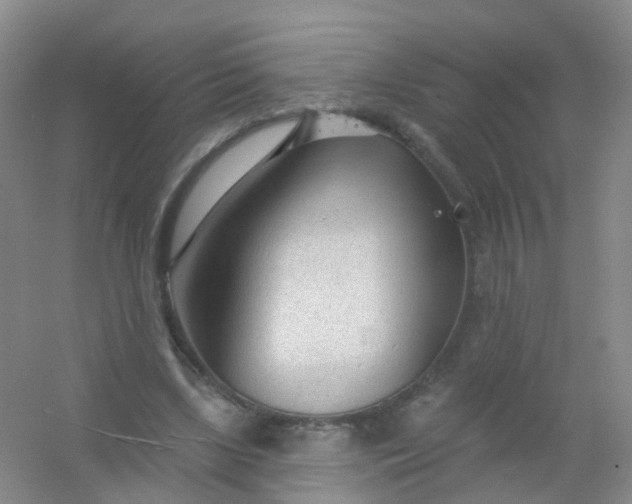 X0000054440443200508121849