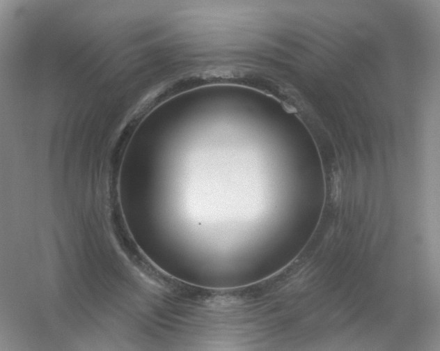 X0000054440444200508121849