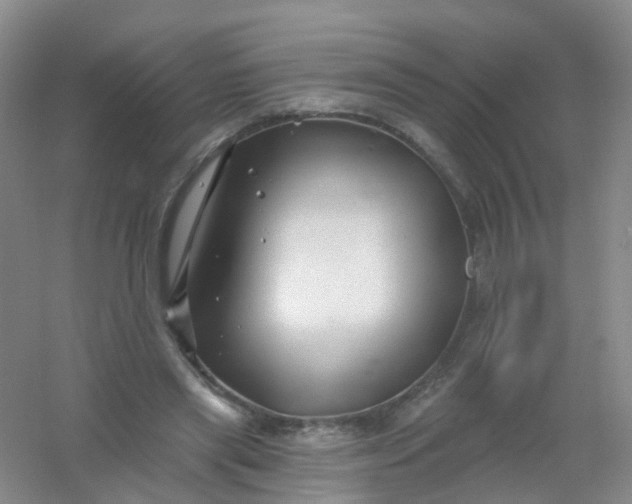 X0000054440445200508121849