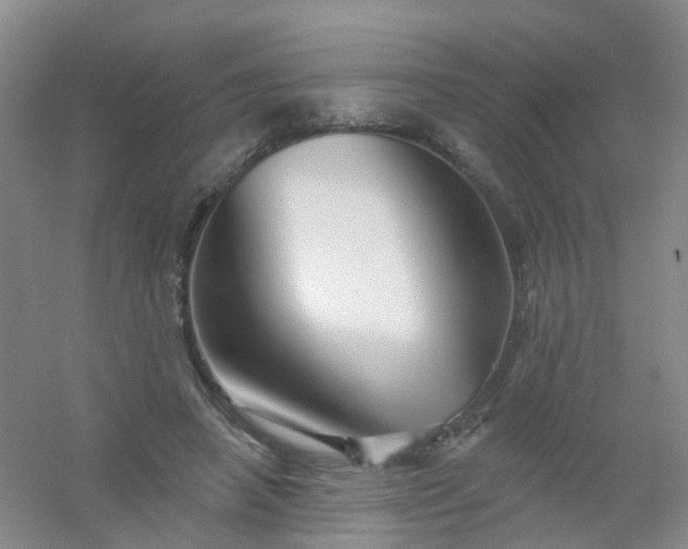 X0000054440450200508121849