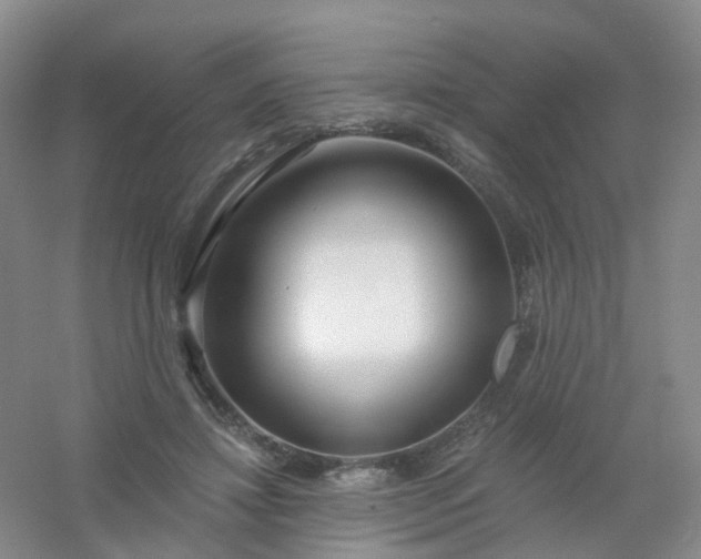 X0000054440452200508121849