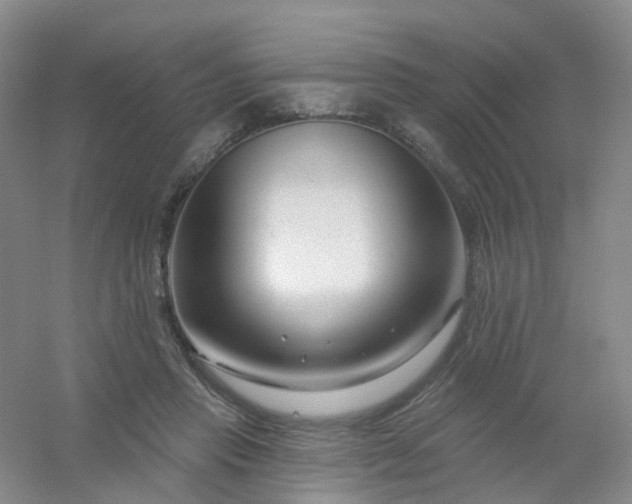 X0000054440453200508121849