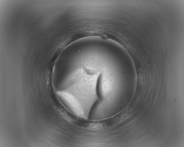 X0000054440458200508121849