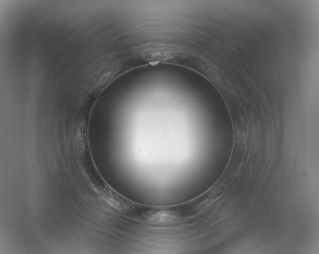 X0000054440460200508121849