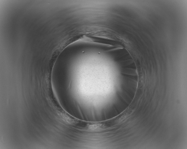 X0000054440461200508121849