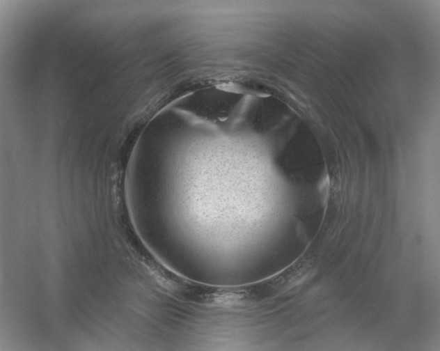 X0000054440462200508121849