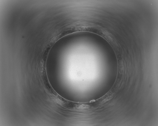 X0000054440463200508121849