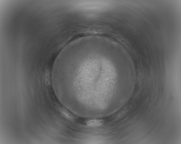 X0000054440465200508121849