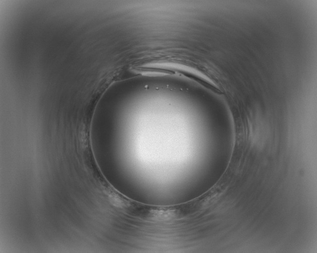 X0000054440469200508121849