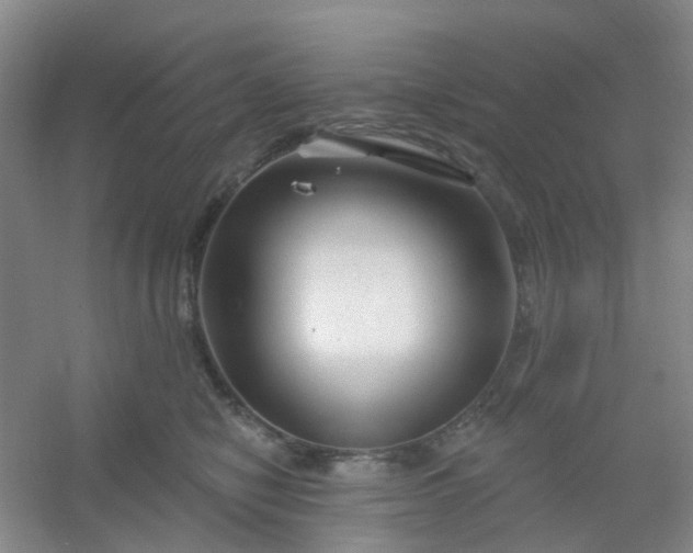 X0000054440470200508121849