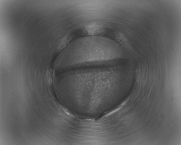 X0000054440471200508121849