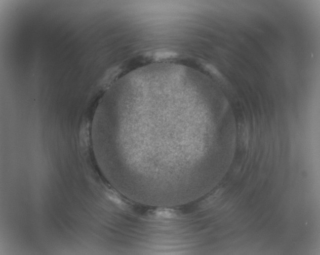 X0000054440475200508121849