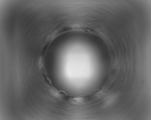 X0000054440478200508121849