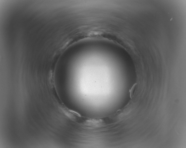 X0000054440480200508121849