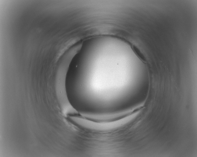 X0000054440481200508121848