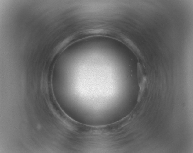 X0000054440482200508121848