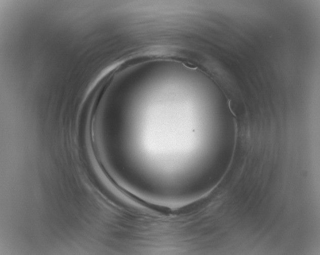 X0000054440484200508121848