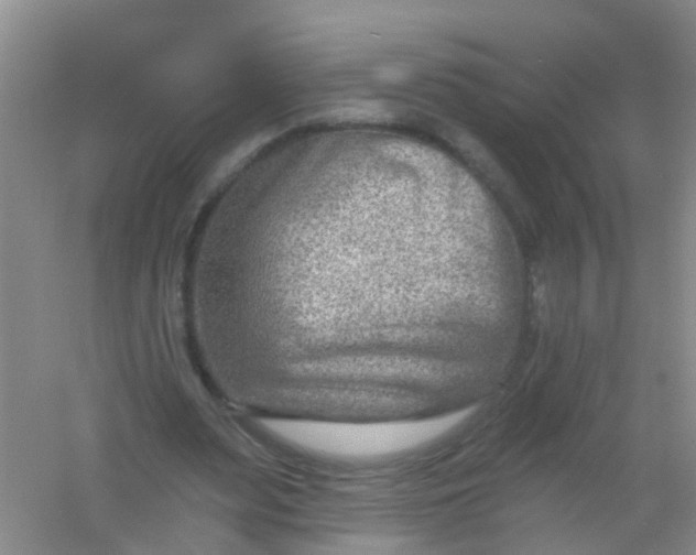 X0000054440487200508121848