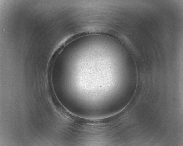 X0000054440488200508121848