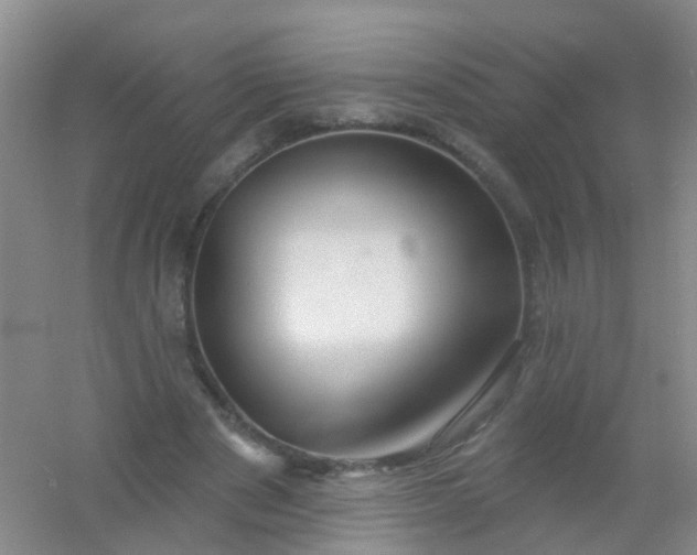 X0000054440489200508121848