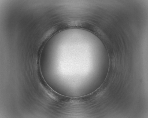 X0000054440490200508121848