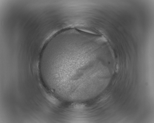 X0000054440491200508121848