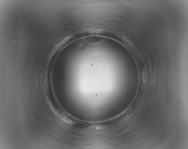 X0000054440492200508121848