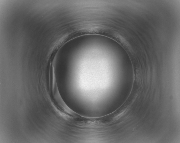 X0000054440493200508121848