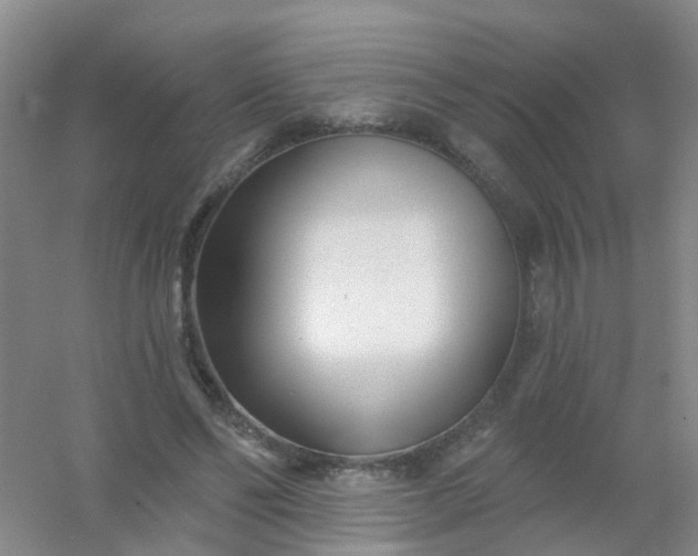 X0000054440494200508121848