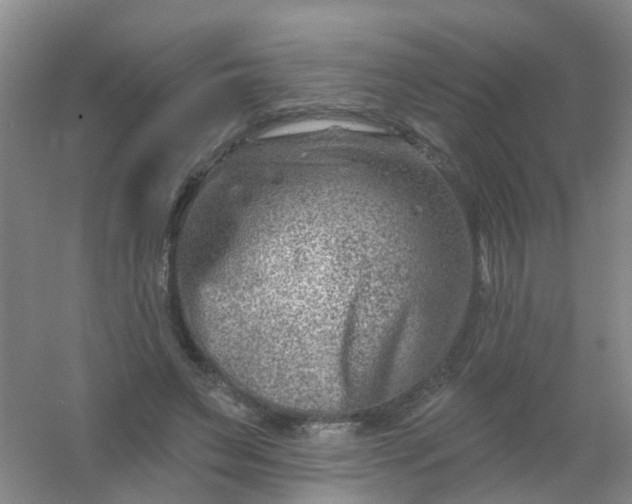 X0000054440495200508121848