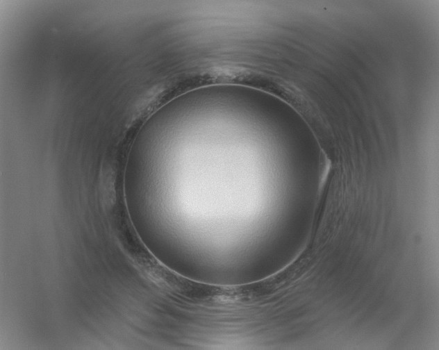 X0000054440496200508121848