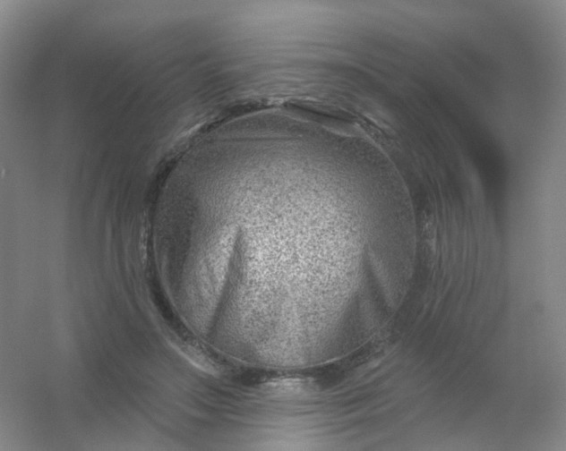 X0000054440499200508121848