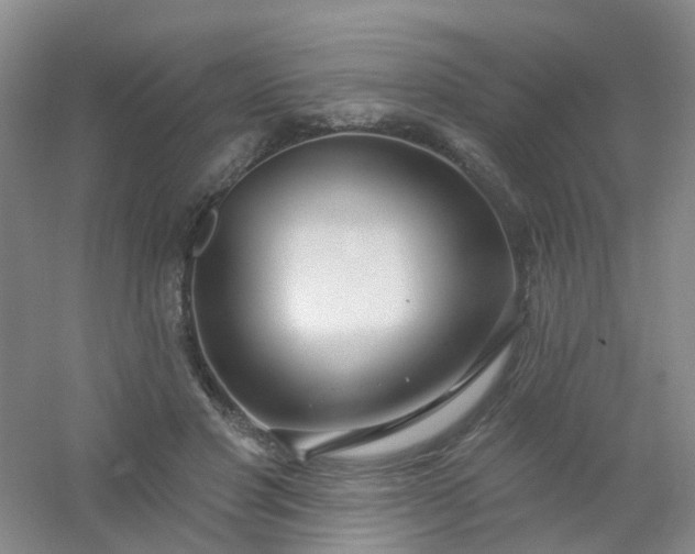 X0000054440501200508121848