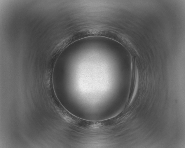 X0000054440505200508121848